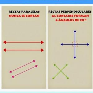 Las rectas