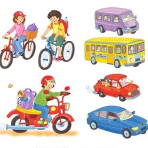 medios de transporte terrestre 