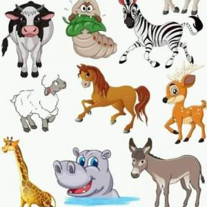 Animales hervíboros