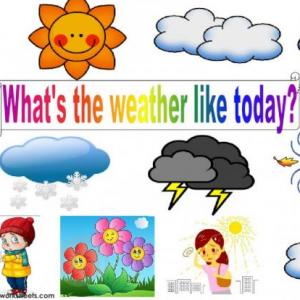 WHAT'S THE WEATHER LIKE?