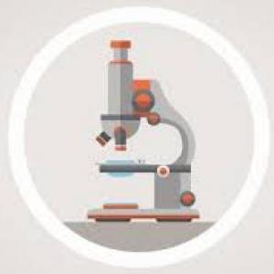 Imagen de portada del videojuego educativo: microscopio memory, de la temática Ciencias