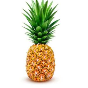 Aprendo a leer con las frutas