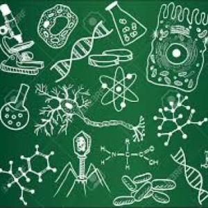 Videojuego educativo de Biología
