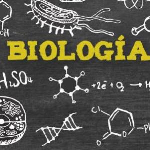 Imagen de portada del videojuego educativo: Repaso para examen de biología , de la temática Biología