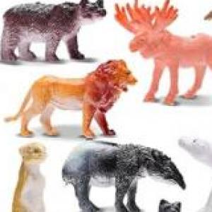What's the animal?