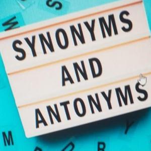 Portada del juego SYNONYMS AND ANTONYMS – Idiomas