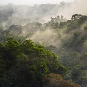 Influencia del clima
