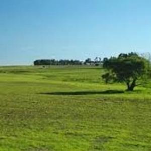Actividades socioeconomicas en las llanuras