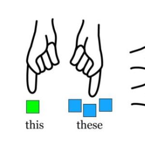 Activity 2: Demonstratives, adjectives and adverbs