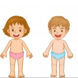 El Cuerpo Humano