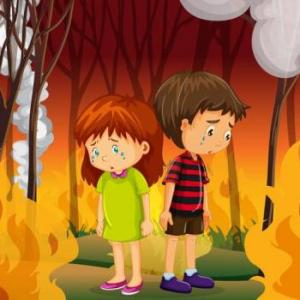 Incendios Forestales