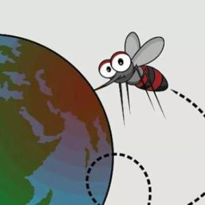 Dengue