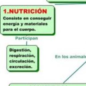 Sistemas que intervienen en la nutrición 