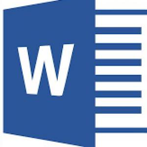 MS Word