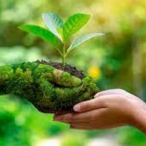 El Maravilloso Mundo de la Naturaleza