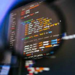 Orca Programación. 