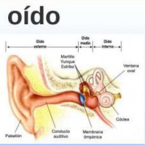 audicion
