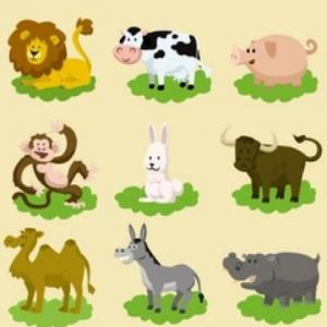 Animales Terrestres ¡Encuentra su pareja!