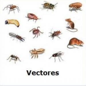 el ahorcado