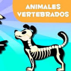 juego para 101