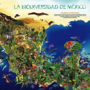 biodiversidad