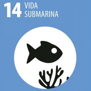 Moldcology Game Submarine
