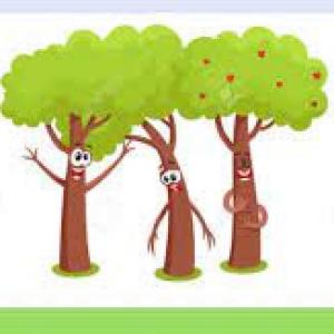 EL ÁRBOL VANIDOSO