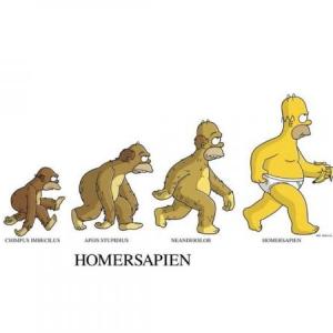 Procesos evolutivos de la vida.
