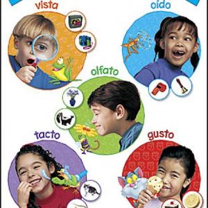 Nuestros sentidos