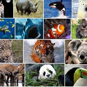 Animales en peligro de extinción