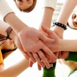 Los componentes del curriculum