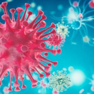 Illnesses & diseases quiz