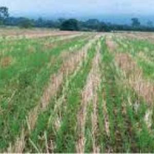 Herramientas para la agricultura