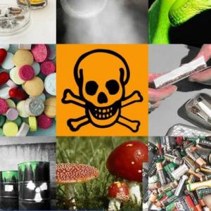 TOXICOLOGÍA