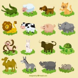 NÚMEROS Y ANIMALES
