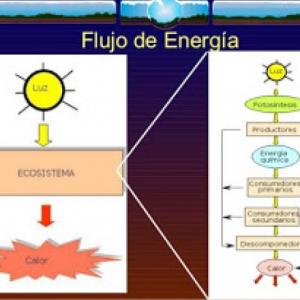 Flujo de energía en la tierra