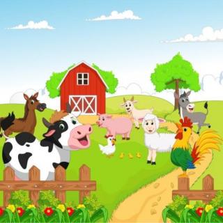 La granja!