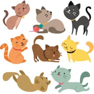 Día internacional del gato