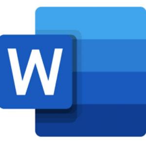 MS WORD