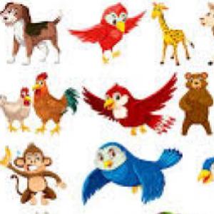 CLASIFICANDO ANIMALES