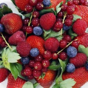 GUESS THE FRUIT