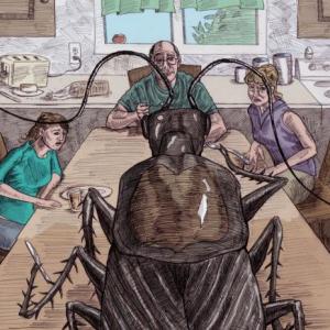 Deshumanización del individuo en la obra de la metamorfosis
