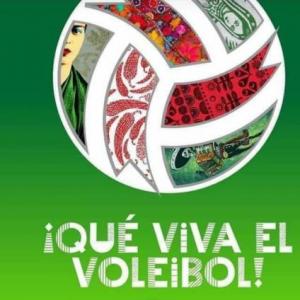 Volleyball  Carls Rogers