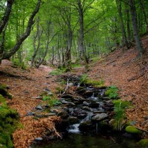 Historieta del Medio Ambiente