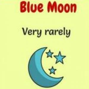 Idioms fun