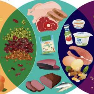 Imagen de portada del videojuego educativo: CONCEPTOS BASICOS SOBRE NUTRICIÓN Y ALIMENTACIÓN, de la temática Alimentación