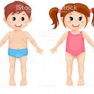 Partes del cuerpo