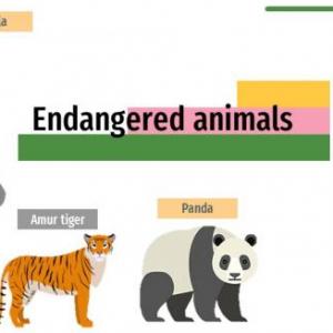 Endangered animals