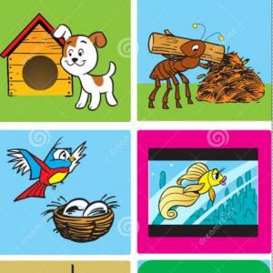 ANIMALES Y SU HOGAR