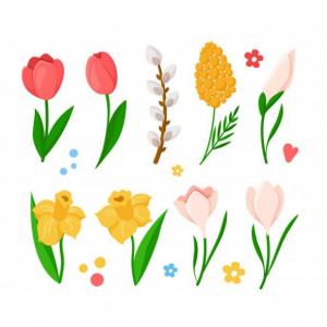 BENVENUTA PRIMAVERA!